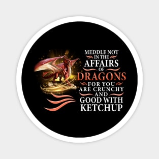 Meddle not in the affairs of dragons for you arre crunchy Magnet